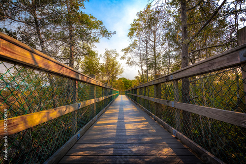 Wooden Walking Path