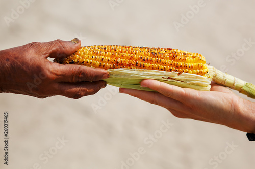 Fototapeta Naklejka Na Ścianę i Meble -  Large cob of corn on the grill. Closeup of the hand of an Indian woman passes the corn to a white girl. Asian street food. Trolley on the beach GOA