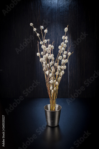 A bouquet of fluffy willow branches (Salix gracilistyla) in the metal-bucket cup