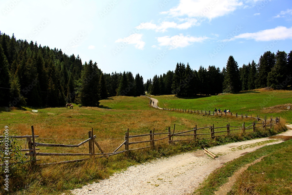 Beautiful valley on the San Vigilio mountain in South Tyrol