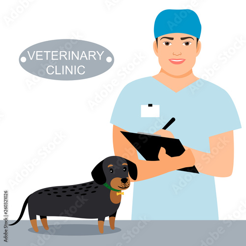 Veterinarian and dog on examination table in vet clinic. Veterinary clinic vector concept. Veterinarian dog and doctor veterinary illustration