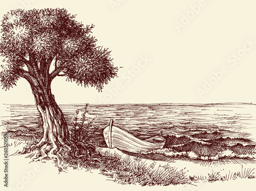 Olive tree and a boat on sea shore wallpaper