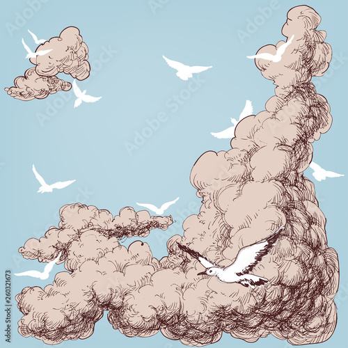 Birds flying in the blue sky background