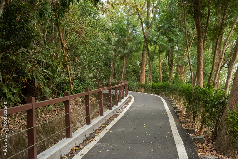 Obraz premium small road by trees with nobody