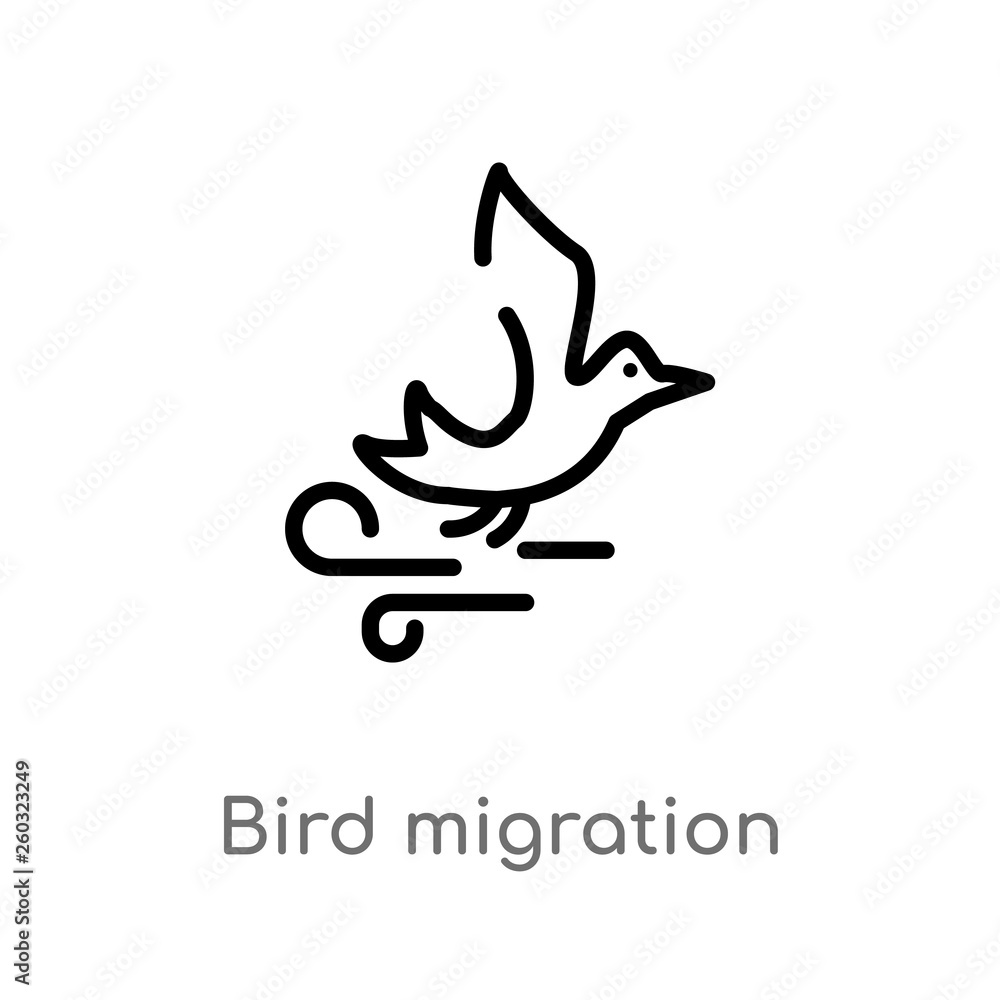 outline bird migration vector icon. isolated black simple line element illustration from autumn concept. editable vector stroke bird migration icon on white background outline bird migration vector icon. isolated black simple line element illustration from autumn concept. editable vector stroke bird migration icon on white background