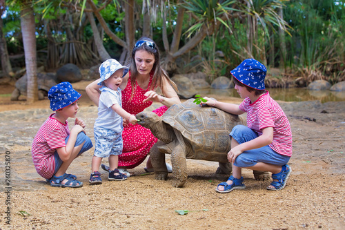 Little toddle boy, feeding giant tortois, baby got bitten, mom having terrified look on her face photo