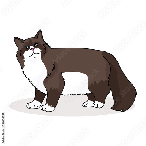 Cute snowshoe cat cartoon vector illustration motif set. Hand drawn isolated pet elements clipart for animal blog, kitty graphic, web buttons.