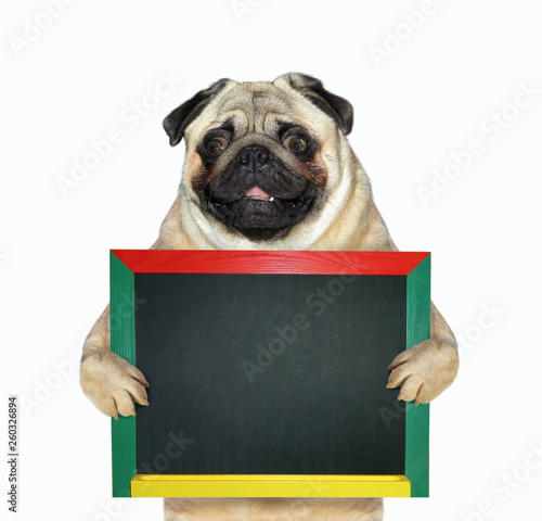The dog teacher is holding the small blank blackboard. Isolated. White background. © iridi66
