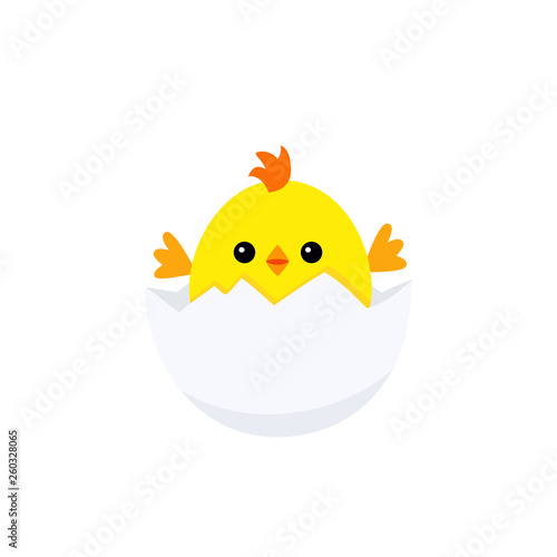Funny chicken baby inside egg