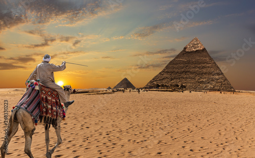A bedouin on a camel in front of the Great Pyramids of Giza