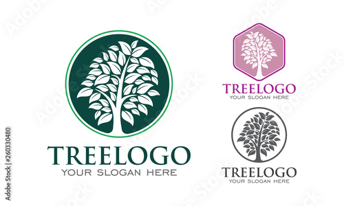Tree Logo  2