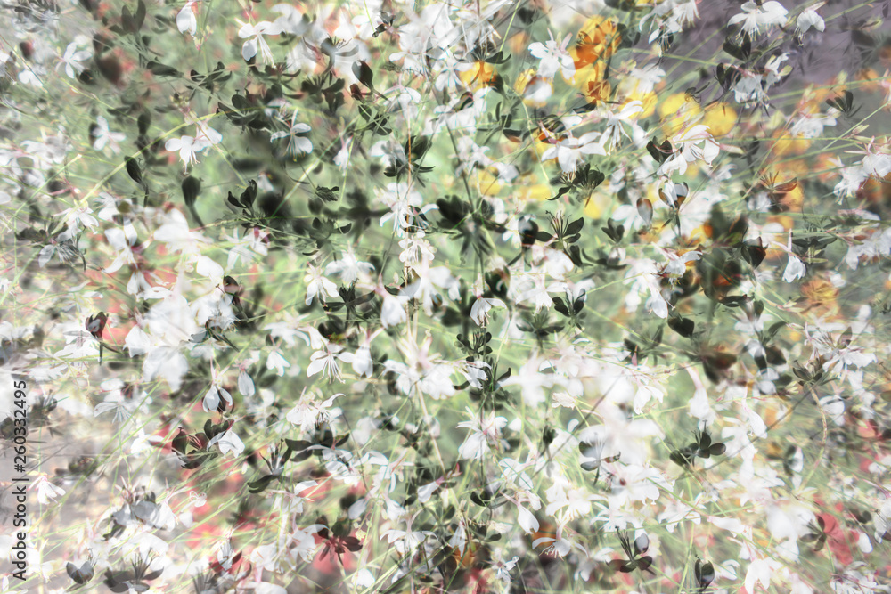 digigram digigram