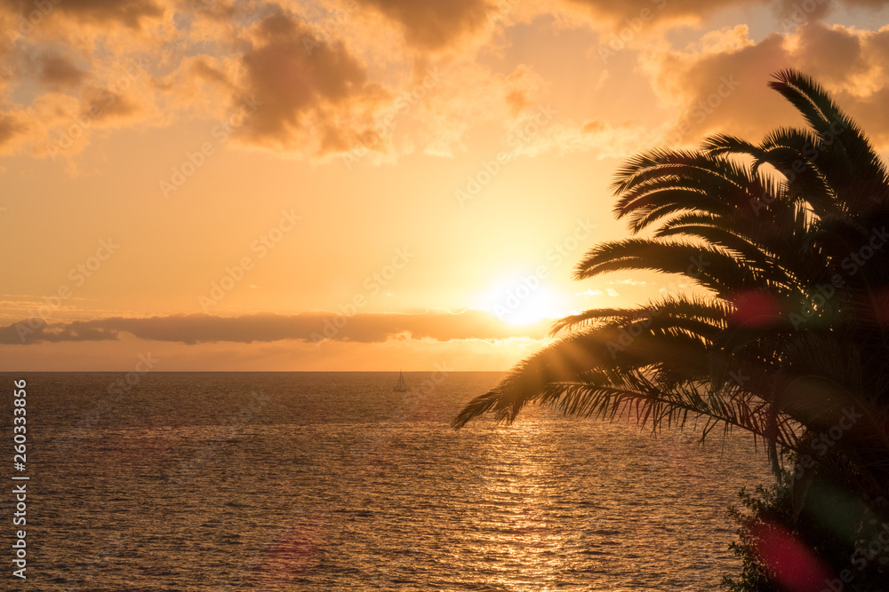 Beautiful golden sunset over the Atlantic Ocean with palm trees a sail boat and few clouds. 