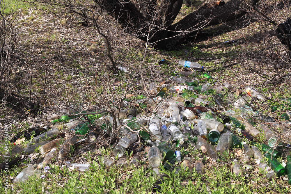 Glass and plastic bottles lying under a tree, garbage Glass and plastic bottles lying under a tree, garbage