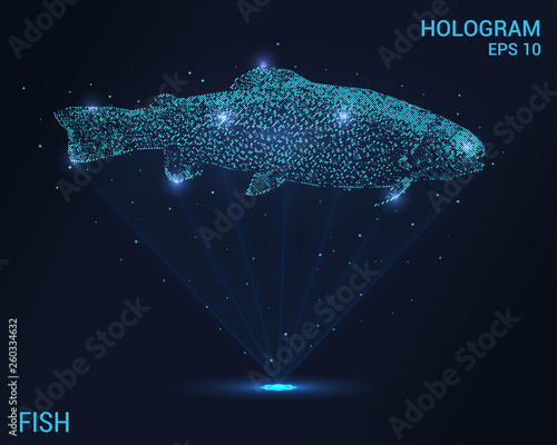 Fish hologram. Holographic projection fish. Flickering energy flux of particles. The scientific design of fish.