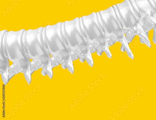 Skeletal human spine on Yellow Background 3D Rendering