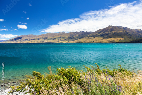 lake Wanaka  New Zealand south island © magann