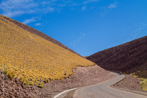 Road in Atacama desert