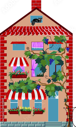 Vector old pretty house. Building of old Europe. Old european architecture with french balcony, flowers in pot, grape tree near the house and cat on attic. House of red brick with pitched roof.