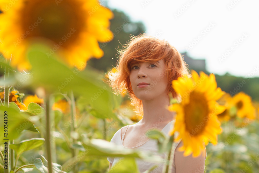 young girl enjoying nature on the field of sunflowers at sunset, portrait of the beautiful redheaded woman girl with a sunflowers in a sunny summer evening young girl enjoying nature on the field of sunflowers at sunset, portrait of the beautiful redheaded woman girl with a sunflowers in a sunny summer evening