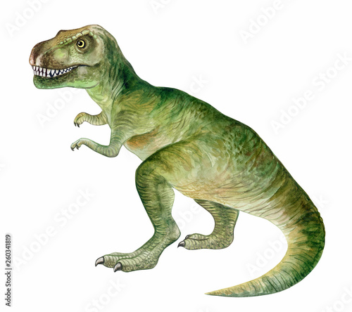 Raptor tyrannosaur dinosaur. Hand painted dinosaurs isolated on white background. Predator animal of the prehistoric period. Illustration. Watercolor. Template. Hand drawing. Clipart. Close-up © Yuliia