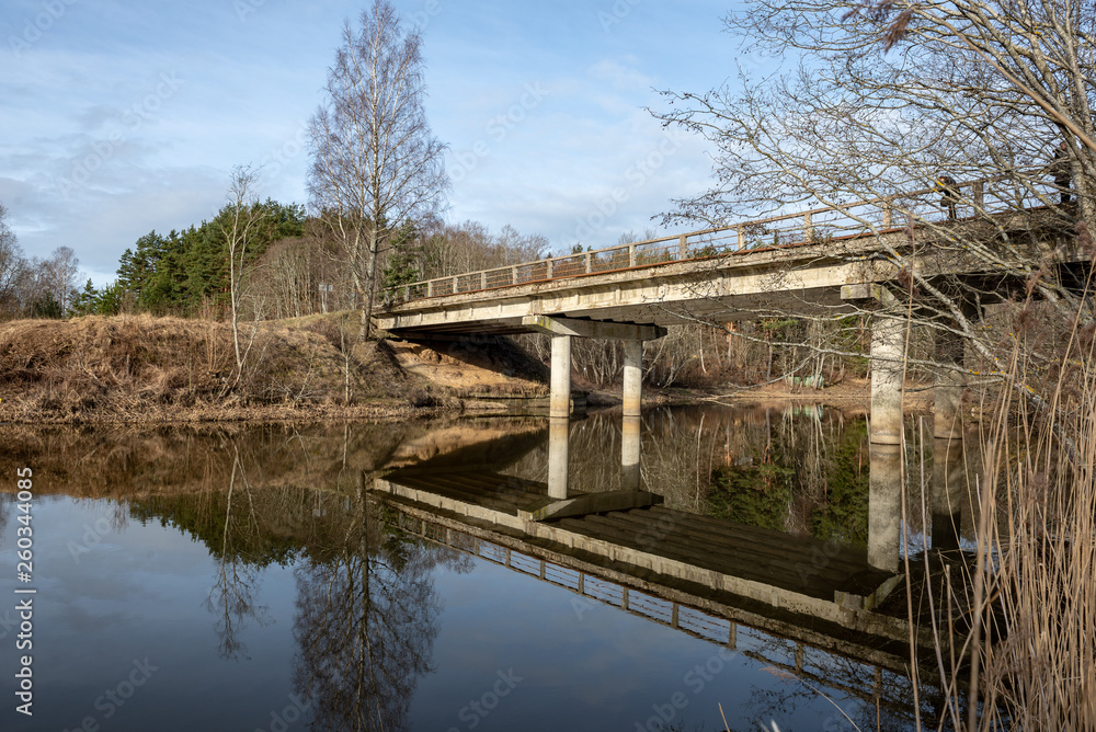 dirty forest river in spring