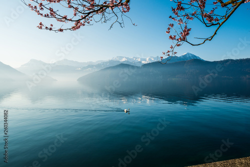 Lake of Lucerne. Weggis. Switzerland