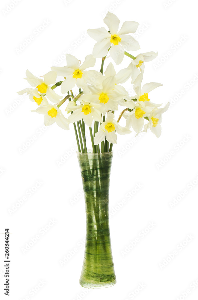 Pale daffodils in a vase