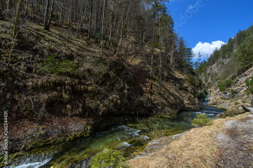 Wildwasser in der Klamm im Sonnenschein