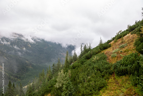 tourist trails in Slovakia Tatra mountains in autumn. cloudy day