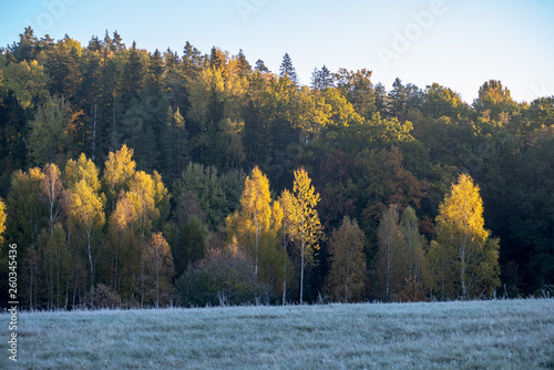 first winter frost in sunrise light in countryside