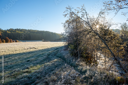 first winter frost in sunrise light in countryside