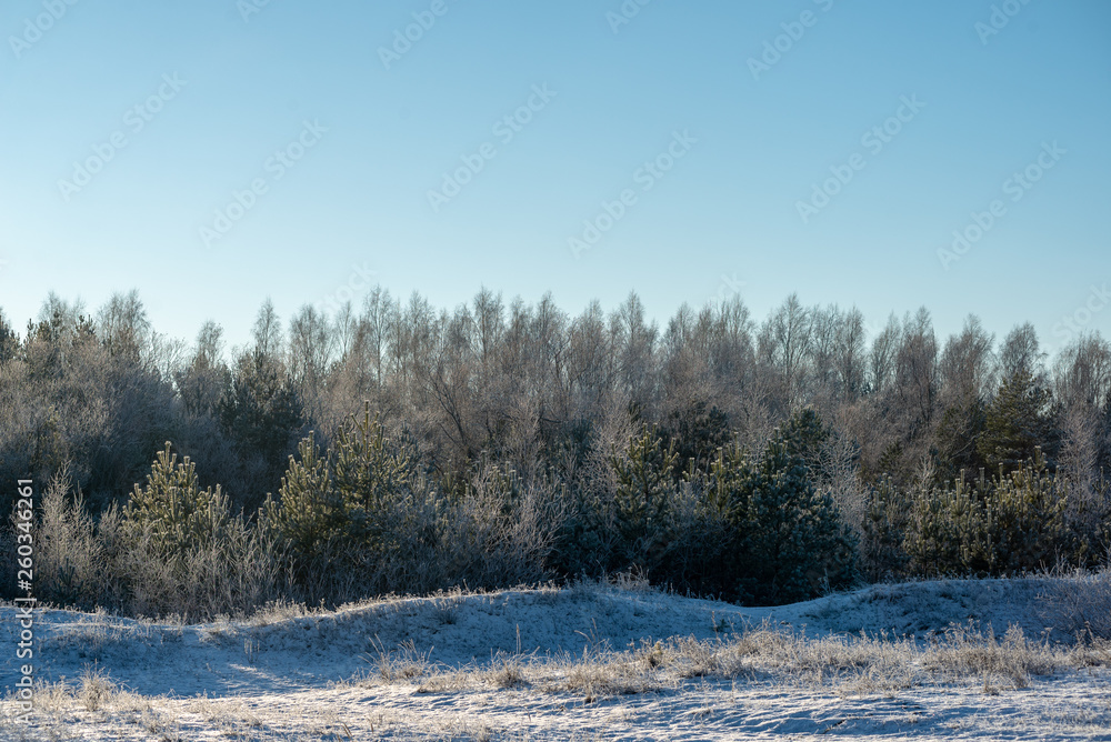 frozen sea beach in winter with low snow coverage frozen sea beach in winter with low snow coverage