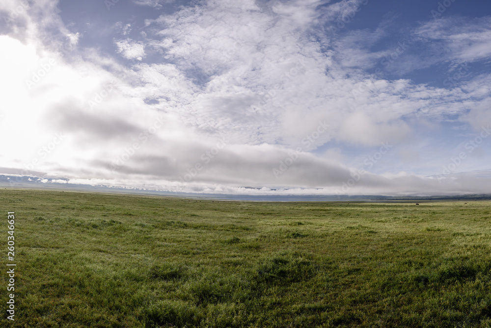 Obraz premium Landscape in Manyara national park