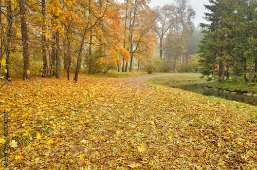 Autumn landscape in the Park.