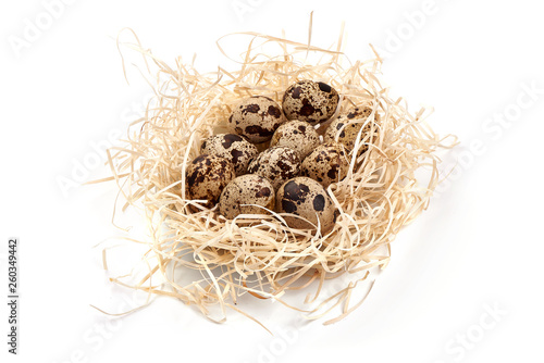 Quail eggs in a straw nest, close-up, isolated on white background. Top view