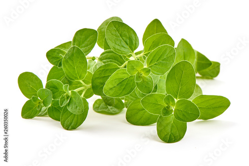 Canvas Print Twigs of sweet oregano or marjoram, close up, isolated on white background