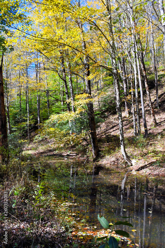 Autumn along the West Fork of the Greenbrier River