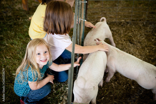 Little Girls Petting Piglets at Agricultural Fair photo