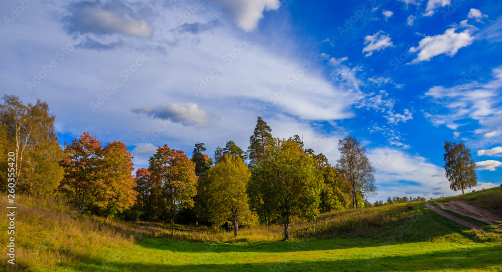 Early autumn landscape. Park in early autumn in clear weather. Blue sky