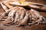 Squid  for sale on the market