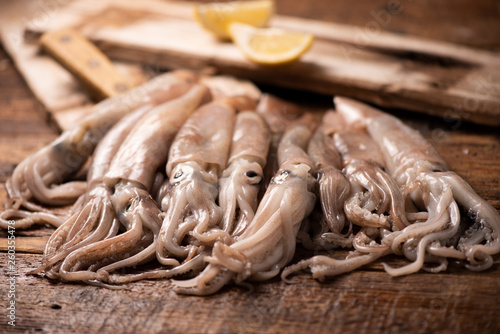 Bilde på lerret Squid  for sale on the market