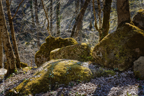 Huge fairy stones (boulders) covered with green moss are among the trees in the forest next to the mountain river