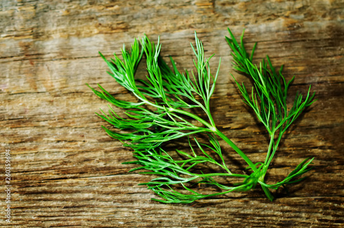 Fresh dill leaves on a dark wood background
