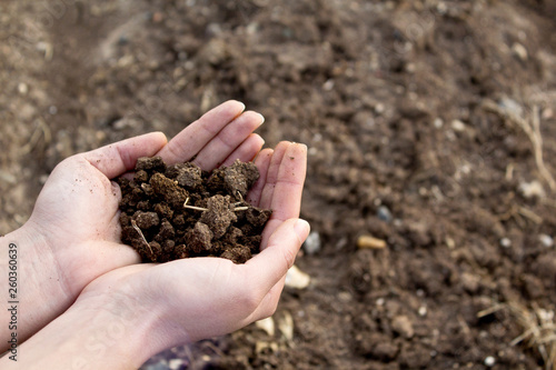 Hands holding soil in agricultural field.