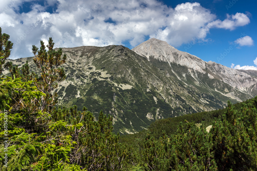 Summer landscape with Vihren Peak, Pirin Mountain, Bulgaria