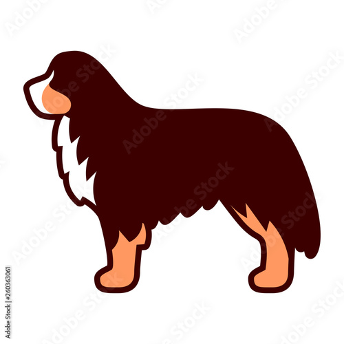 Bernese Mountain Dog Icon Isolated On White Background