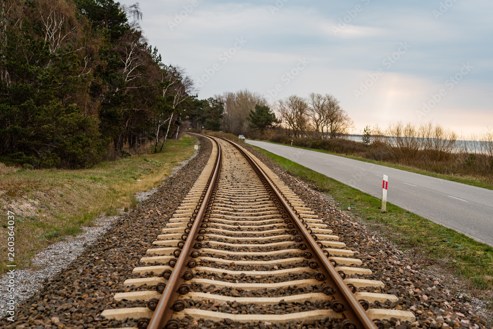 Obraz premium railway in forest