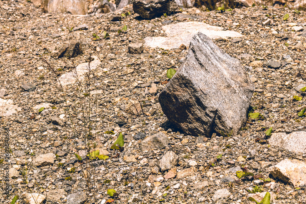 rock in the desert rock in the desert
