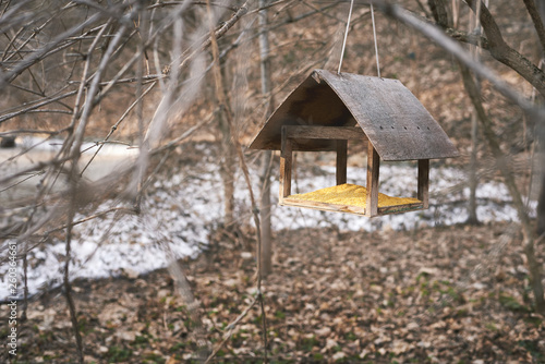 Bird feeder on the background of the spring forest. © spector3d